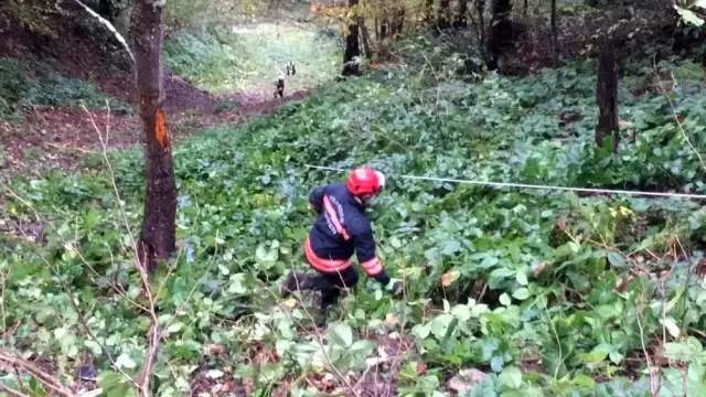 Baba ve oğlu, 400 metre uçuruma yuvarlanarak hurdaya dönen araçtan sağ kurtuldular Baba ve oğlu, 400 metre uçuruma yuvarlanarak hurdaya dönen araçtan sağ kurtuldular