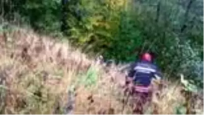 400 metrelik uçuruma yuvarlanan kamyonetteki 2 kişi yaralandı 400 metrelik uçuruma yuvarlanan kamyonetteki 2 kişi yaralandı