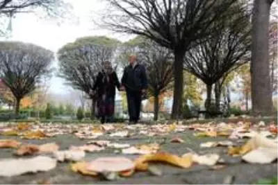 50 yıllık eşine olan aşkını 450 şiirle kağıda döktü 50 yıllık eşine olan aşkını 450 şiirle kağıda döktü