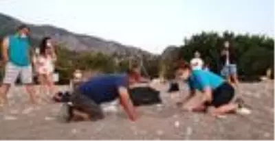 Son dakika haber! 550 bin yavru deniz kaplumbağası denizle buluştu Son dakika haber! 550 bin yavru deniz kaplumbağası denizle buluştu
