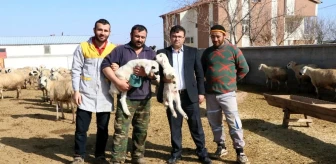 Aksaray'da 'Köyümde Yaşamak İçin Bir 'Sürü' Nedenim Var' Projesi başladı