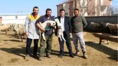 Aksaray'da 'Köyümde Yaşamak İçin Bir 'Sürü' Nedenim Var' Projesi başladı Aksaray'da 'Köyümde Yaşamak İçin Bir 'Sürü' Nedenim Var' Projesi başladı