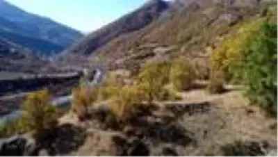 Bahçesaray'ın tepelerinde kar ormanlarında sonbaharın renkleri büyülüyor Bahçesaray'ın tepelerinde kar ormanlarında sonbaharın renkleri büyülüyor