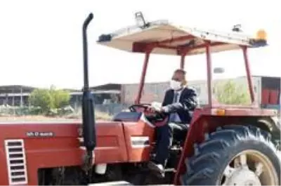 Başkan Bozdoğan, ata tohumu kunduru buğdayını toprakla buluşturdu Başkan Bozdoğan, ata tohumu kunduru buğdayını toprakla buluşturdu
