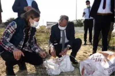 Başkan Bozdoğan, ata tohumu kunduru buğdayını toprakla buluşturdu Başkan Bozdoğan, ata tohumu kunduru buğdayını toprakla buluşturdu