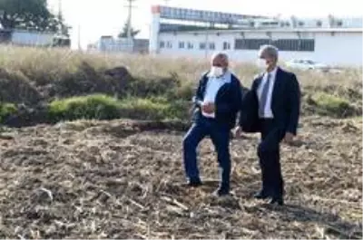 Başkan Bozdoğan, ata tohumu kunduru buğdayını toprakla buluşturdu Başkan Bozdoğan, ata tohumu kunduru buğdayını toprakla buluşturdu