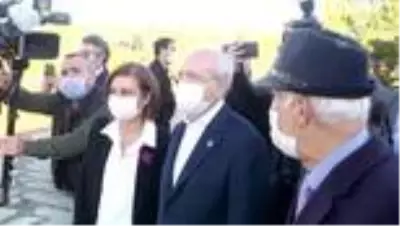 CHP Genel Başkanı Kılıçdaroğlu safran hasadı yaptı CHP Genel Başkanı Kılıçdaroğlu safran hasadı yaptı