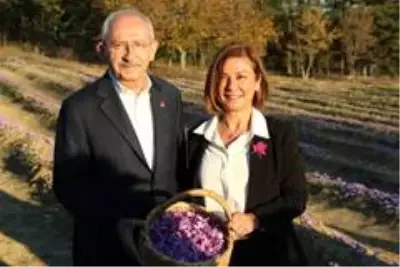 CHP Genel Başkanı Kılıçdaroğlu Safran tarlasında hasat yaptı CHP Genel Başkanı Kılıçdaroğlu Safran tarlasında hasat yaptı