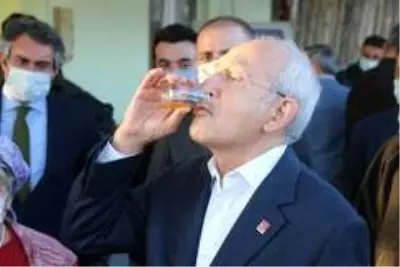 CHP Genel Başkanı Kılıçdaroğlu Safran tarlasında hasat yaptı CHP Genel Başkanı Kılıçdaroğlu Safran tarlasında hasat yaptı