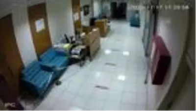 Son dakika: Çocukların yaralı köpek için verdiği çaba yürekleri ısıttı Son dakika: Çocukların yaralı köpek için verdiği çaba yürekleri ısıttı
