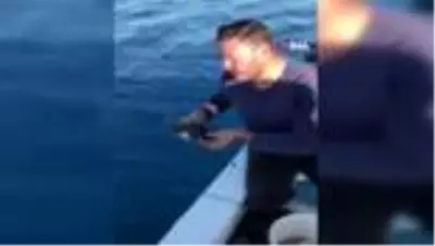 Denizdeki çöplere dolanan yeşil yavru deniz kaplumbağasını balıkçılar kurtardı Denizdeki çöplere dolanan yeşil yavru deniz kaplumbağasını balıkçılar kurtardı