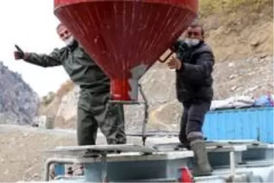 Torul Barajı gölünde yıllık 1200 ton balık üretiliyor Torul Barajı gölünde yıllık 1200 ton balık üretiliyor