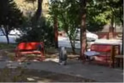 DHA YURT ÖZEL GÜNDEMİ