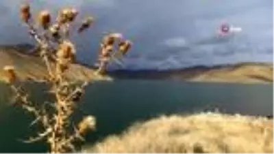 Dilimli Barajı'nda sonbahar ve kar güzelliği Dilimli Barajı'nda sonbahar ve kar güzelliği