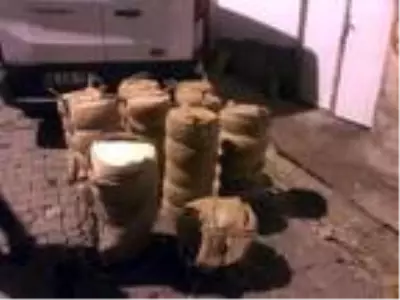 200 bin lira değerinde peynir çalan hırsız, yakayı ele verdi 200 bin lira değerinde peynir çalan hırsız, yakayı ele verdi