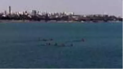 Son dakika spor: Genç kanocular, milli takım kadrosuna girebilmek için kürek çekiyor Son dakika spor: Genç kanocular, milli takım kadrosuna girebilmek için kürek çekiyor