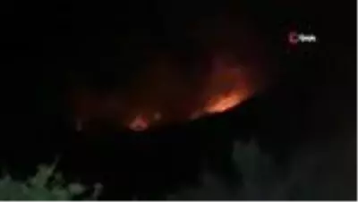 Son dakika haberleri: Hatay'da korkutan orman yangını Son dakika haberleri: Hatay'da korkutan orman yangını
