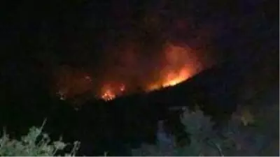 Hatay'daki orman yangını kontrol altına alındı Hatay'daki orman yangını kontrol altına alındı