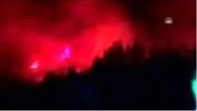 Son dakika haber! Hatay'da çıkan orman yangını kontrol altına alındı Son dakika haber! Hatay'da çıkan orman yangını kontrol altına alındı