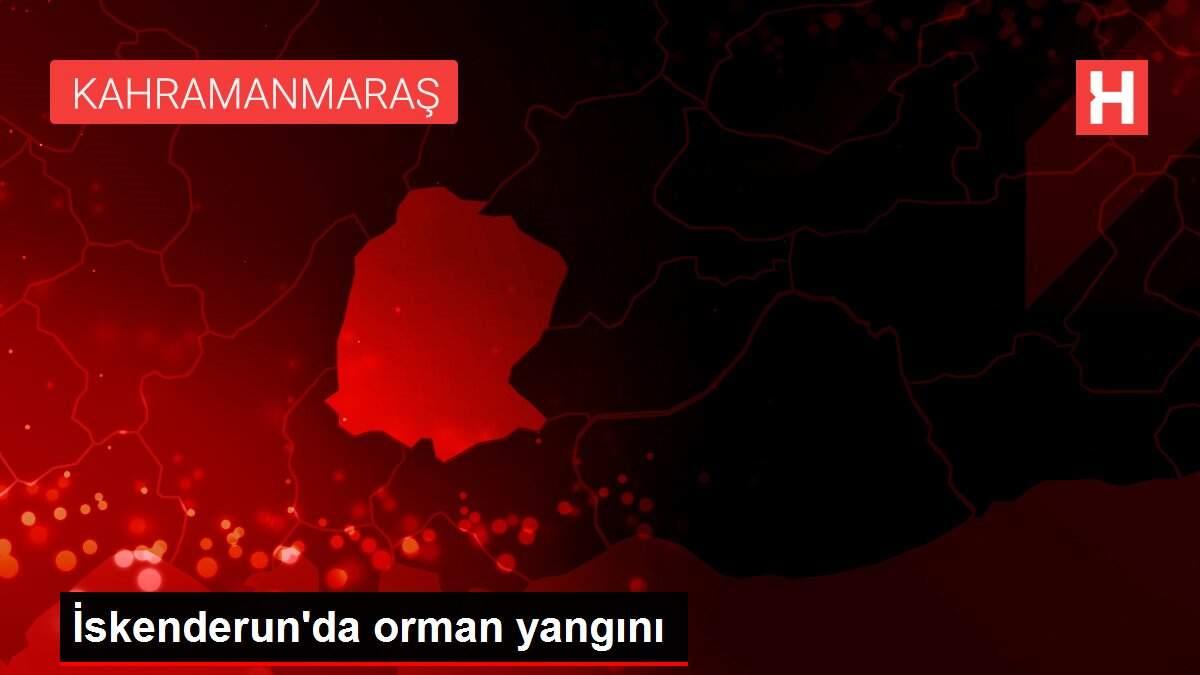 İskenderun'da orman yangını İskenderun'da orman yangını