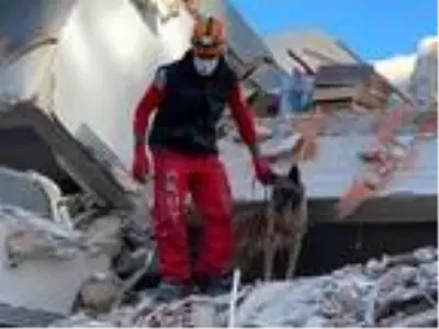 İzmir depreminden sonra AKUT'a 1000 gönüllü başvurdu İzmir depreminden sonra AKUT'a 1000 gönüllü başvurdu