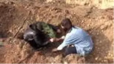 Son dakika haber... KAHRAMANMARAŞ - Yanan ormanlık alan çocukların eliyle yeşerecek Son dakika haber... KAHRAMANMARAŞ - Yanan ormanlık alan çocukların eliyle yeşerecek