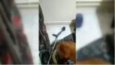 Koltuk değneği içine gizlenmiş uyuşturucuyu narkotik köpeği buldu Koltuk değneği içine gizlenmiş uyuşturucuyu narkotik köpeği buldu