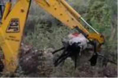 Kuyuya düşen eşeği öldü, '5 yıldır bize yoldaşlık ediyordu' diye üzüldü Kuyuya düşen eşeği öldü, '5 yıldır bize yoldaşlık ediyordu' diye üzüldü