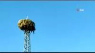 Leyleklerle aralarında bağ oluştu, evini yuvalarına yakın yere yaptı Leyleklerle aralarında bağ oluştu, evini yuvalarına yakın yere yaptı