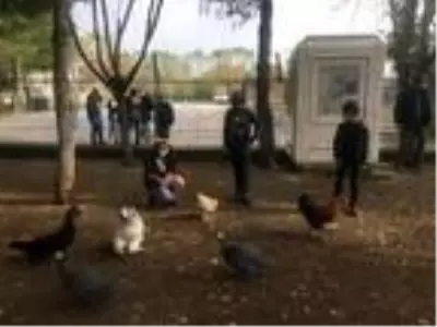 Okul bahçesinde mini hayvanat bahçesi oluşturuldu Okul bahçesinde mini hayvanat bahçesi oluşturuldu