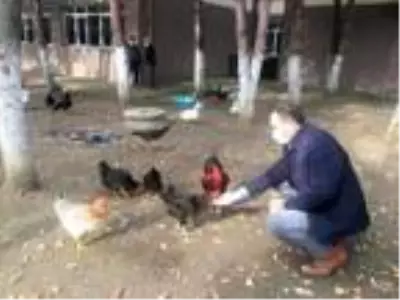 Okul bahçesinde mini hayvanat bahçesi oluşturuldu Okul bahçesinde mini hayvanat bahçesi oluşturuldu