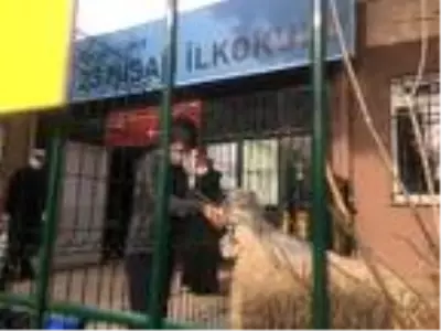 Okul bahçesinde mini hayvanat bahçesi oluşturuldu Okul bahçesinde mini hayvanat bahçesi oluşturuldu