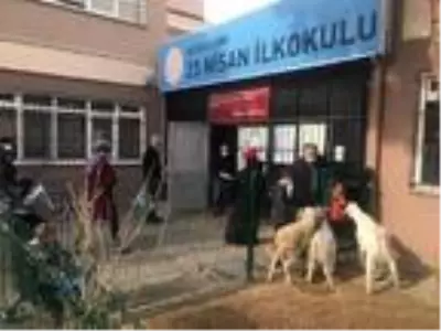 Okul bahçesinde mini hayvanat bahçesi oluşturuldu Okul bahçesinde mini hayvanat bahçesi oluşturuldu