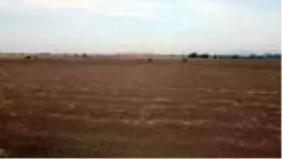 Osmaniye'de yapılacak iniş-kalkış pisti için gerekli çalışmalar başlatıldı Osmaniye'de yapılacak iniş-kalkış pisti için gerekli çalışmalar başlatıldı