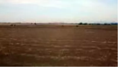 Osmaniye'de yapılacak iniş-kalkış pisti için gerekli çalışmalar başlatıldı Osmaniye'de yapılacak iniş-kalkış pisti için gerekli çalışmalar başlatıldı