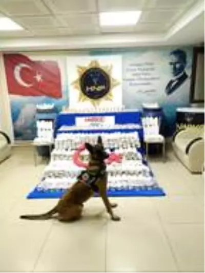 Reyhanlı'da uyuşturucu operasyonu Reyhanlı'da uyuşturucu operasyonu