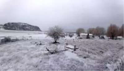 Seydikemer'e yılın ilk karı düştü Seydikemer'e yılın ilk karı düştü