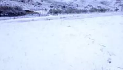 Seydikemer'e yılın ilk karı düştü Seydikemer'e yılın ilk karı düştü