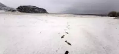 Seydikemer'e yılın ilk karı düştü Seydikemer'e yılın ilk karı düştü