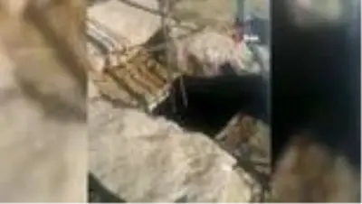 Su kuyusunda mahsur kalan köpek kurtarıldı Su kuyusunda mahsur kalan köpek kurtarıldı