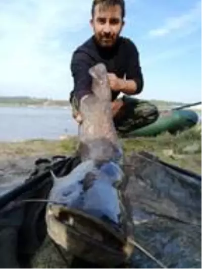Tuttuğu büyük balıklarla fotoğraf çektirip, tekrar suya bırakıyor Tuttuğu büyük balıklarla fotoğraf çektirip, tekrar suya bırakıyor