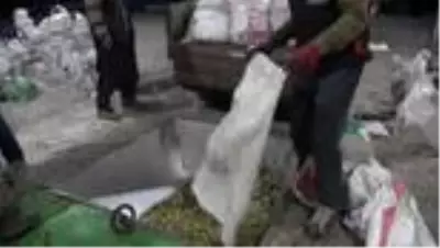 Zeytinin yağ yolculuğu Zeytinin yağ yolculuğu