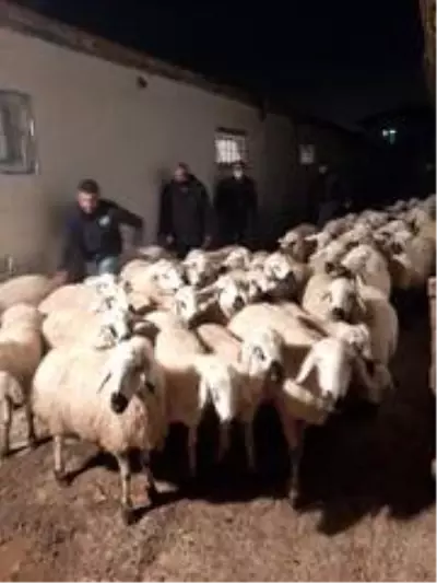Son dakika haberleri | Ankara jandarmasından hayvan hırsızlarına ve uyuşturucu satıcılarına darbe Son dakika haberleri | Ankara jandarmasından hayvan hırsızlarına ve uyuşturucu satıcılarına darbe