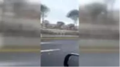 Başkente mevsimin ilk karı yağdı Başkente mevsimin ilk karı yağdı