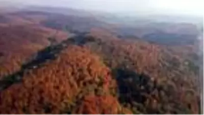 Bolu Dağı'nda sonbahar güzelliği Bolu Dağı'nda sonbahar güzelliği