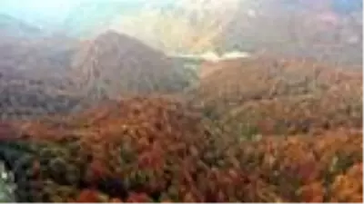 Bolu Dağı'nda sonbahar güzelliği Bolu Dağı'nda sonbahar güzelliği