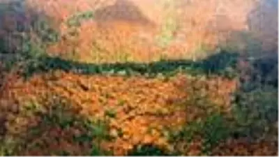 Bolu Dağı'nda sonbahar güzelliği Bolu Dağı'nda sonbahar güzelliği