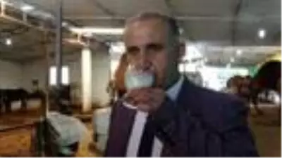 Deve sütünden peynir ve yoğurt ürettiler Deve sütünden peynir ve yoğurt ürettiler
