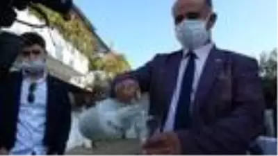 Deve sütünden peynir ve yoğurt ürettiler Deve sütünden peynir ve yoğurt ürettiler