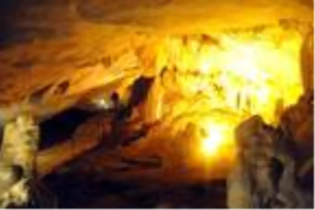 'Dupnisa Mağarası'na turizm tesisi kurulursa yarasalar göçer'